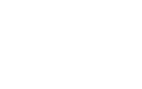 TIVIT · Synapsis